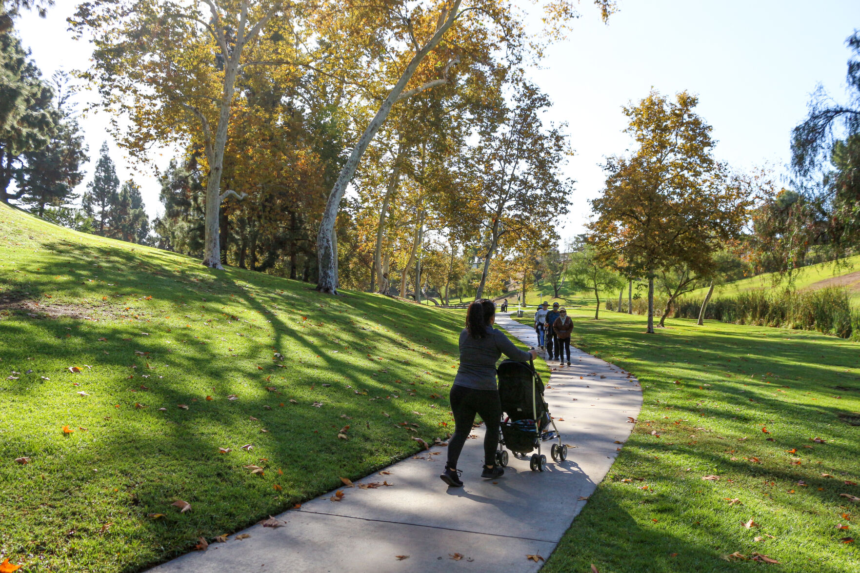 Ted Craig Regional Park 2